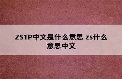 ZS1P中文是什么意思 zs什么意思中文